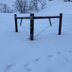 Meet your Posher, Tom